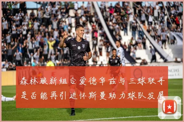 森林狼新组合爱德华兹与三球联手是否能再引进怀斯曼助力球队发展