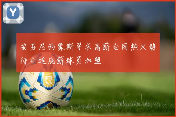 安芬尼西蒙斯寻求高薪合同热火静待合适底薪球员加盟